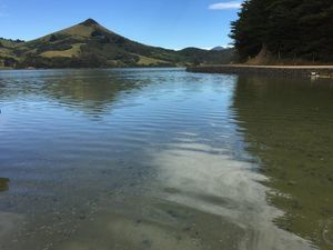 Beautiful Autumn Weather on the Otago Peninsula