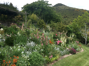 Perennial Border at Hereweka Garden Retreat Accommodation