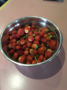 Bumper Crop of Organic Strawberries At Hereweka Garden Retreat