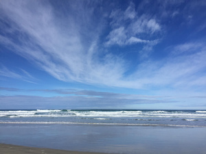 Allans Beach Otago Peninsula Dunedin