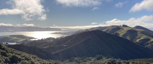 View from the top of Hereweka of bush and Otago Peninsula 