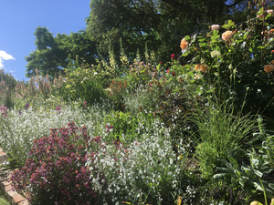 Herbaceous Border at Hereweka Garden